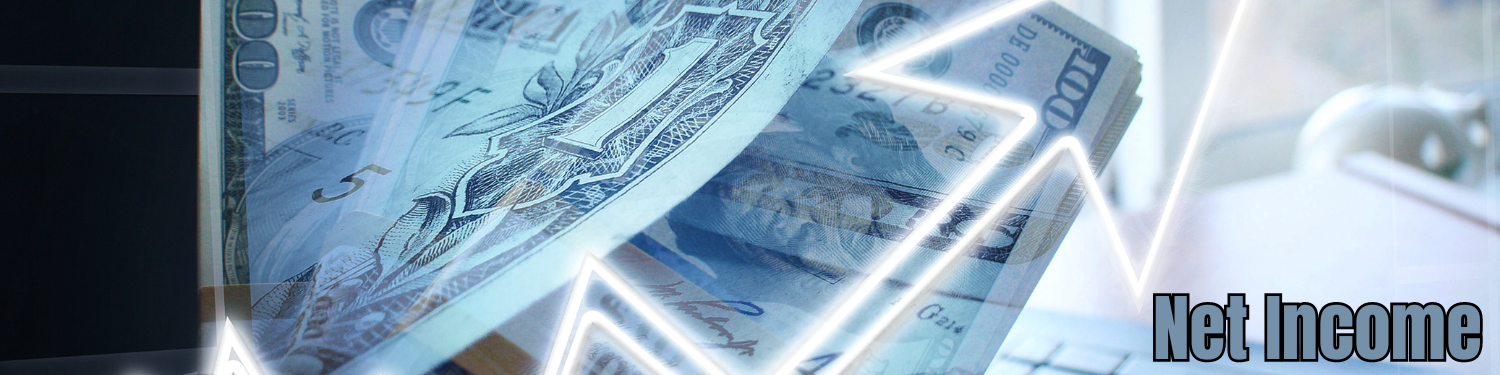 Chapter 2: Net Income Overview banner